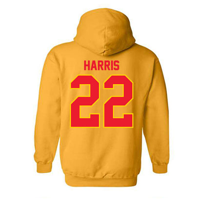 Pitt State - NCAA Baseball : Cooper Harris Harris - Hooded Sweatshirt-3