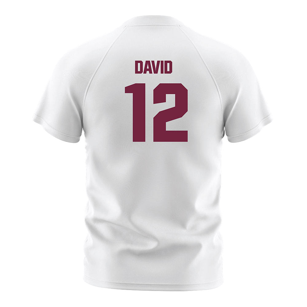 SIU Carbondale - NCAA Women's Soccer : Ziv David - Soccer Jersey-1