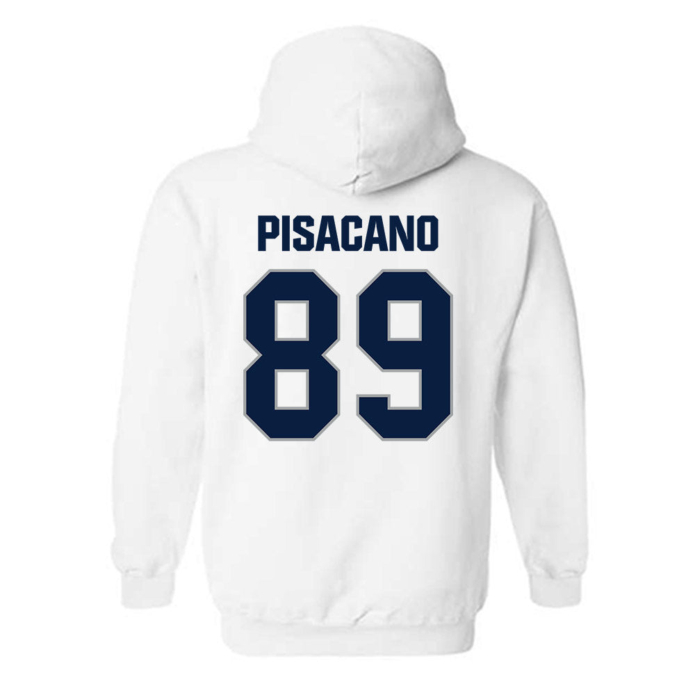 Longwood - NCAA Softball : Sophia Pisacano - Classic Shersey Hooded Sweatshirt-1