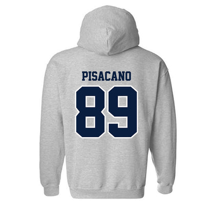 Longwood - NCAA Softball : Sophia Pisacano - Classic Shersey Hooded Sweatshirt-1