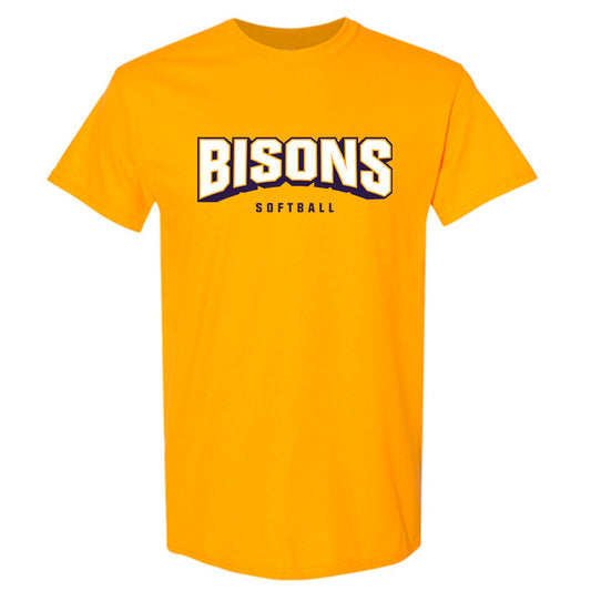 Lipscomb - NCAA Softball : Aubri Ettinger - T-Shirt-0