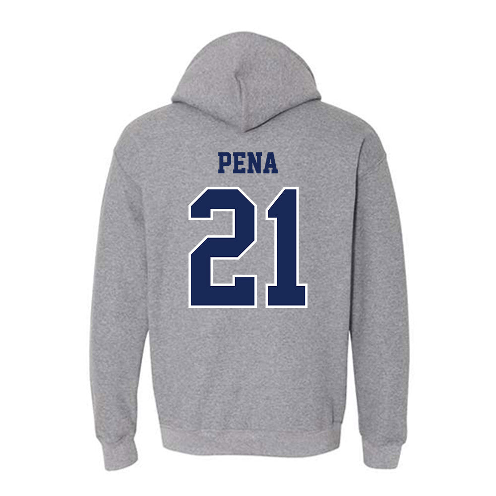 San Diego - NCAA Men's Soccer : Kevin Pena - Hooded Sweatshirt-1
