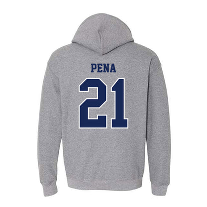 San Diego - NCAA Men's Soccer : Kevin Pena - Hooded Sweatshirt-1