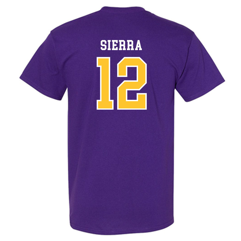Montevallo - NCAA Men's Soccer : Ricardo Sierra - T-Shirt-1
