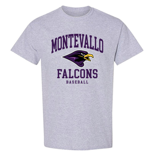 Montevallo - NCAA Baseball : Daniel Irizarry - T-Shirt-0