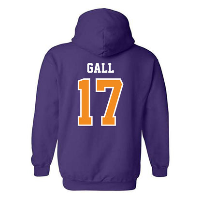 Evansville - NCAA Softball : Cassidy Gall - Hooded Sweatshirt-1