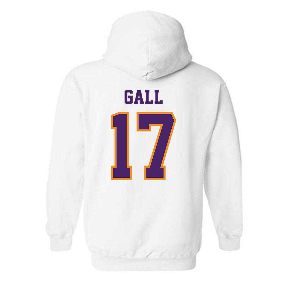 Evansville - NCAA Softball : Cassidy Gall - Hooded Sweatshirt-1