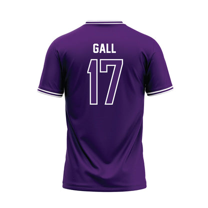 Evansville - NCAA Softball : Cassidy Gall - Baseball Jersey-1