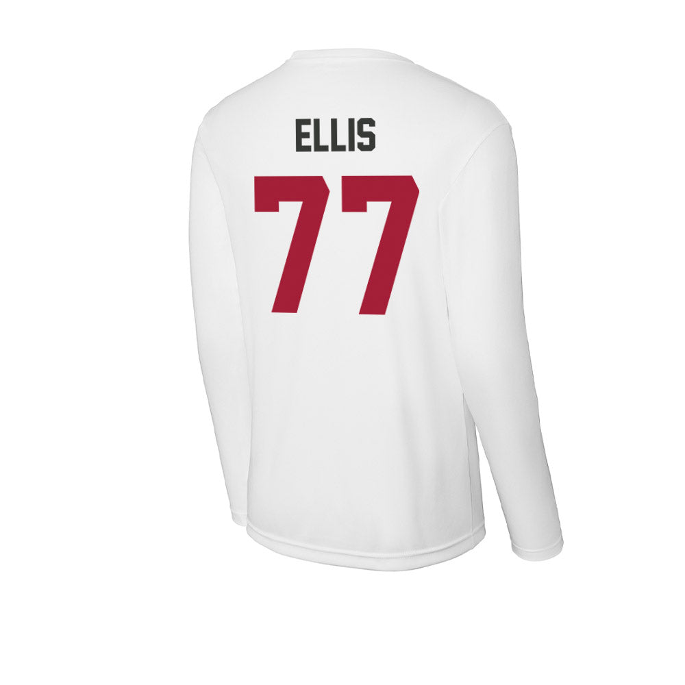 Arkansas - NCAA Softball : Bri Ellis - Activewear Long Sleeve T-Shirt