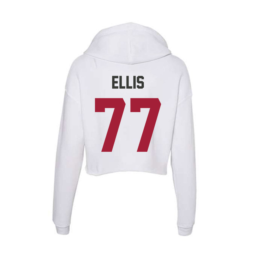 Arkansas - NCAA Softball : Bri Ellis - Women's Crop Fleece Hoodie-1