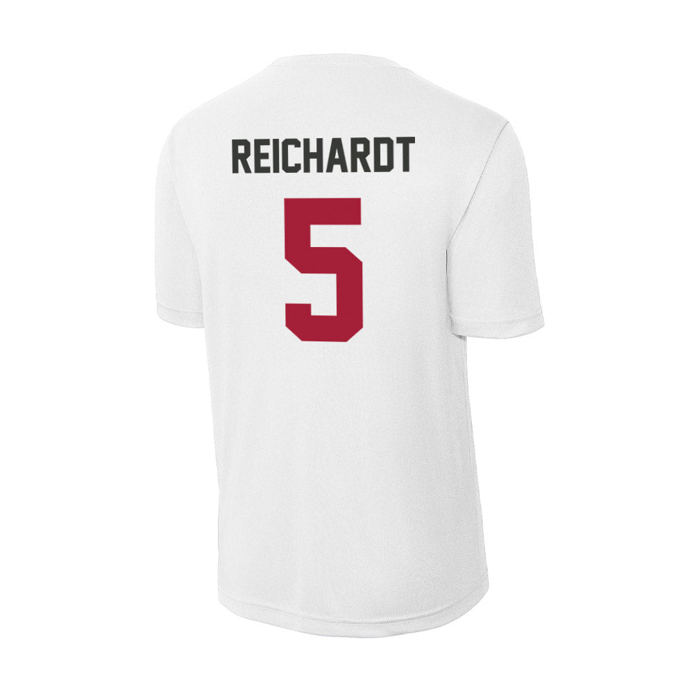 Arkansas - NCAA Softball : Ashtyn Reichardt - Activewear T-Shirt-1
