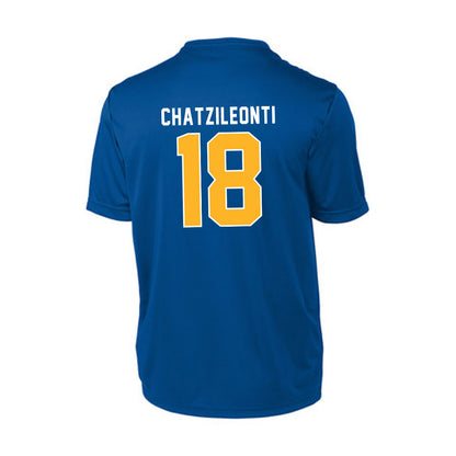 Pittsburgh - NCAA Women's Basketball : Ionanna Chatzileonti - Activewear T-shirt