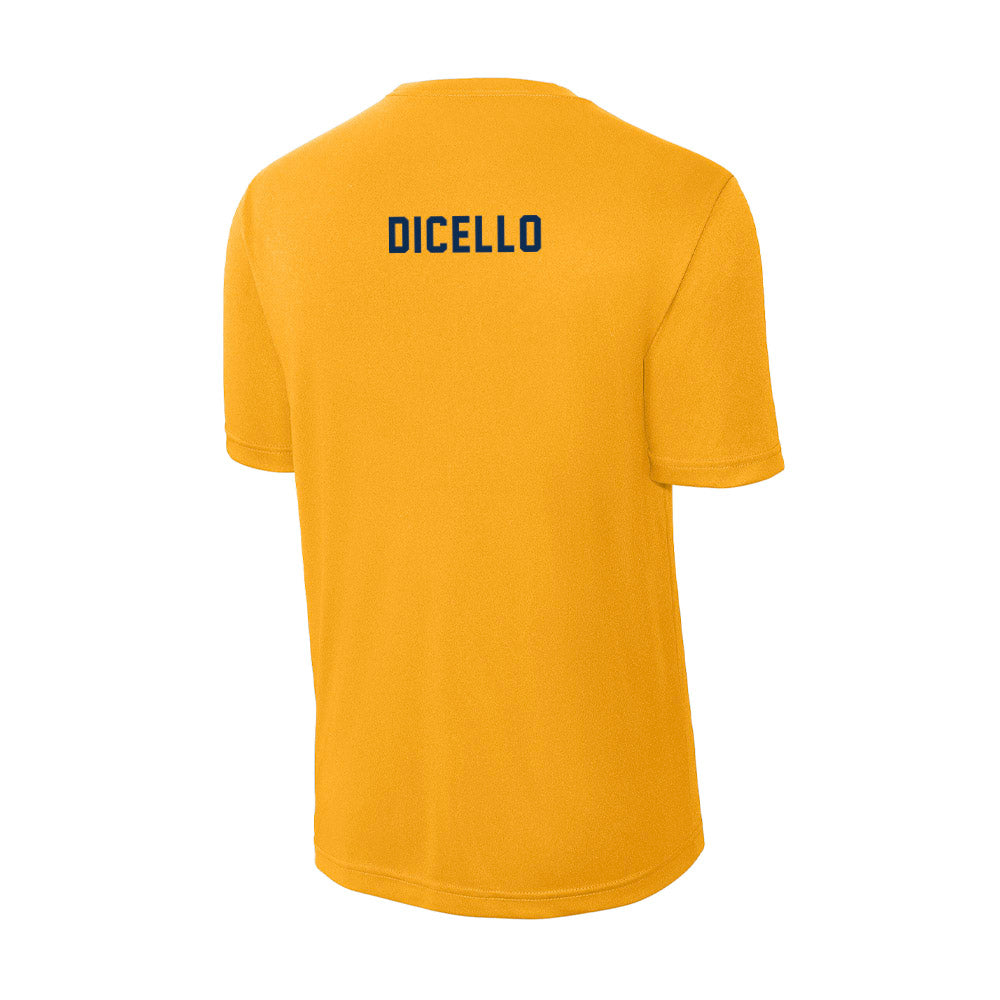 West Virginia - NCAA Women's Gymnastics : Karleigh DiCello - Activewear T-Shirt-1
