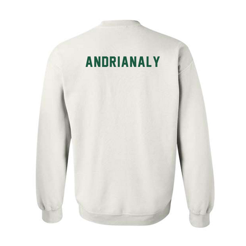 Saint Leo - NCAA Men's Tennis : Dylan Andrianaly - Crewneck Sweatshirt-1