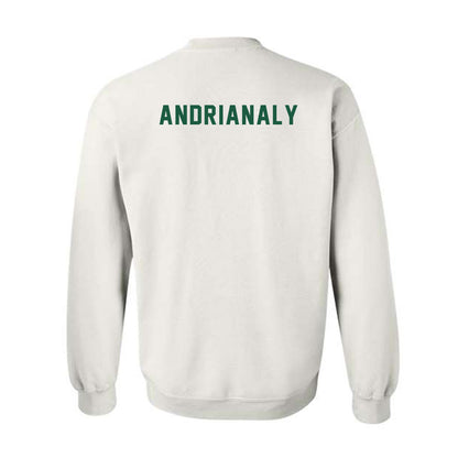 Saint Leo - NCAA Men's Tennis : Dylan Andrianaly - Crewneck Sweatshirt-1