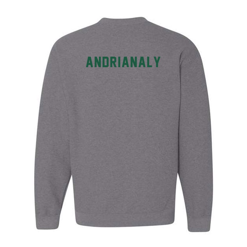 Saint Leo - NCAA Men's Tennis : Dylan Andrianaly - Crewneck Sweatshirt-1