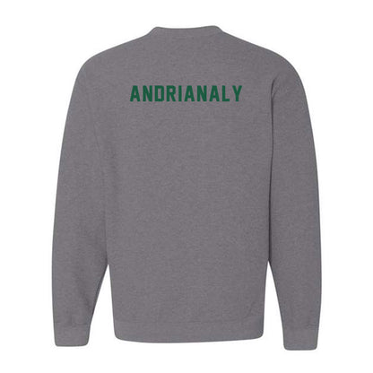 Saint Leo - NCAA Men's Tennis : Dylan Andrianaly - Crewneck Sweatshirt-1