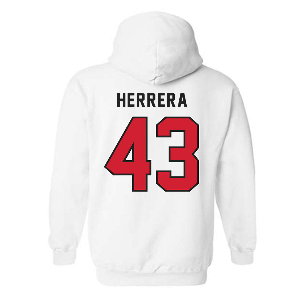 NWOSU - NCAA Baseball : Elias Herrera - Classic Shersey Hooded Sweatshirt-1