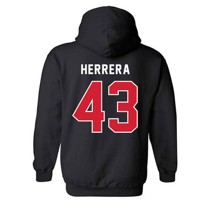 NWOSU - NCAA Baseball : Elias Herrera - Hooded Sweatshirt-1