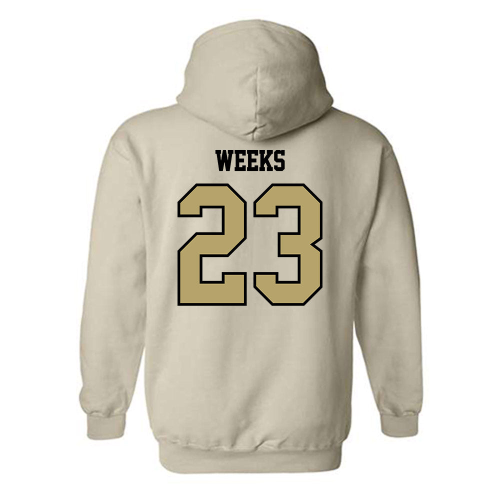 Lindenwood - NCAA Women's Ice Hockey : Josey Weeks - Classic Shersey Hooded Sweatshirt-1