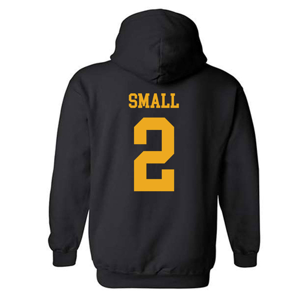 UAPB - NCAA Baseball : Dane Small - Classic Shersey Hooded Sweatshirt-1