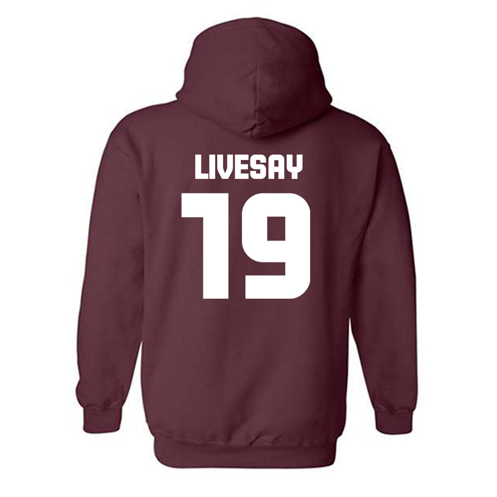 Colgate - NCAA Softball : Quinn Livesay - Hooded Sweatshirt-1