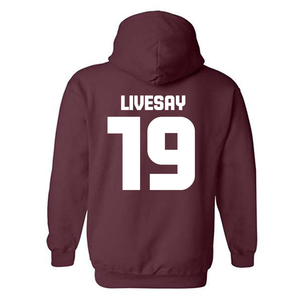 Colgate - NCAA Softball : Quinn Livesay - Classic Shersey Hooded Sweatshirt-1
