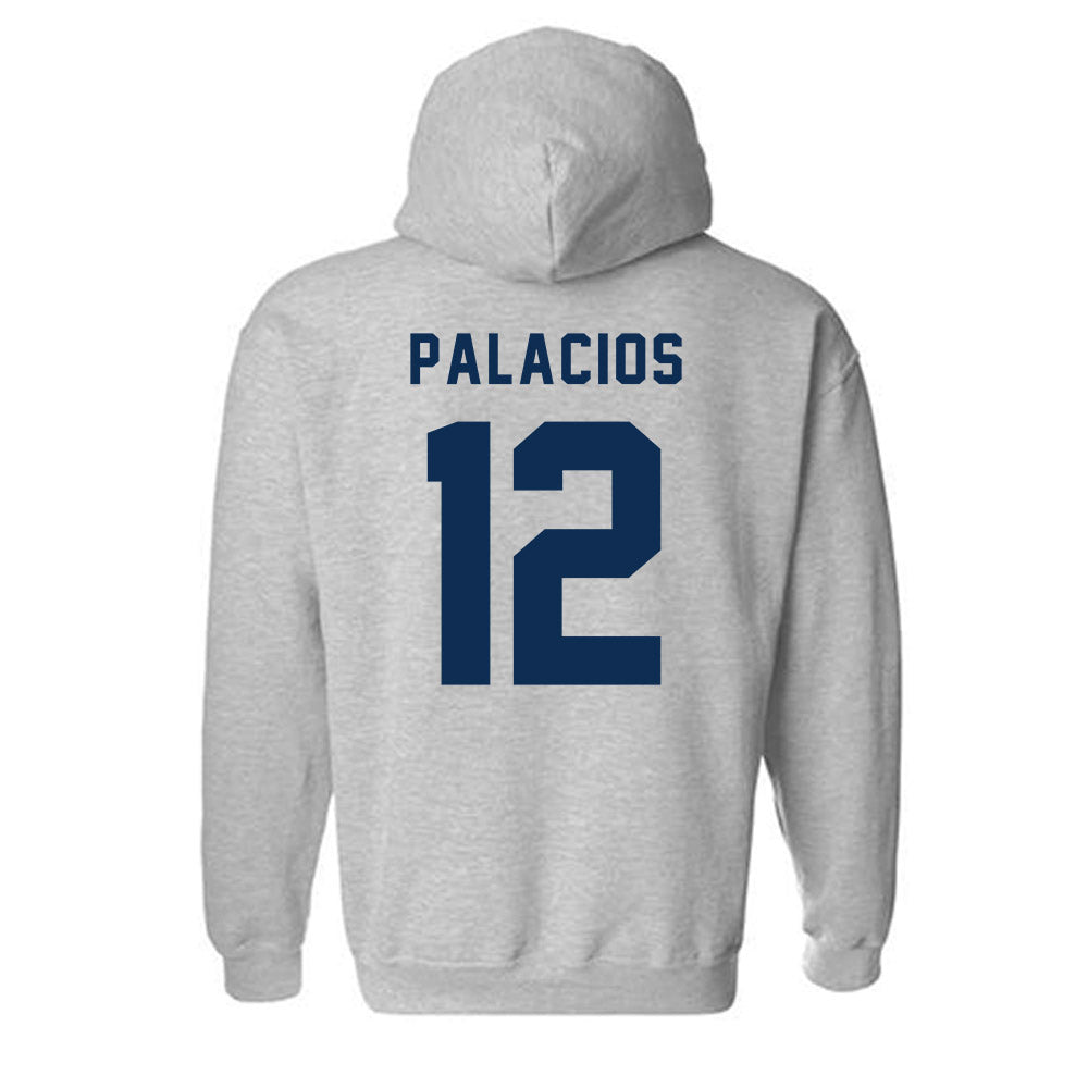 MSU Denver - NCAA Baseball : Marcos Palacios - Classic Shersey Hooded Sweatshirt-1