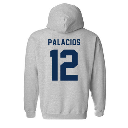 MSU Denver - NCAA Baseball : Marcos Palacios - Classic Shersey Hooded Sweatshirt-1