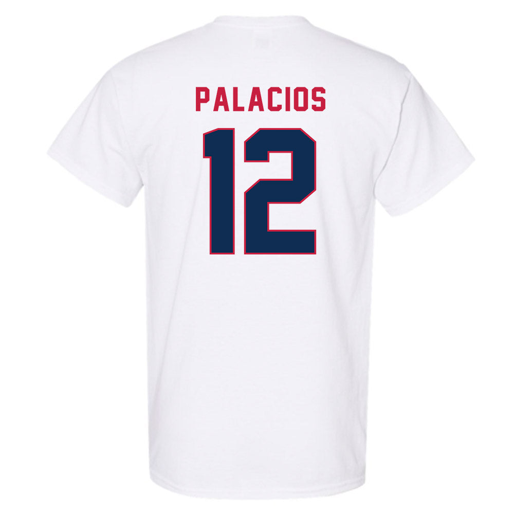 MSU Denver - NCAA Baseball : Marcos Palacios - T-Shirt-1