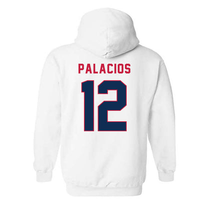 MSU Denver - NCAA Baseball : Marcos Palacios - Hooded Sweatshirt-1