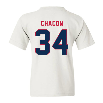 MSU Denver - NCAA Baseball : Andre Chacon - Youth T-Shirt-1