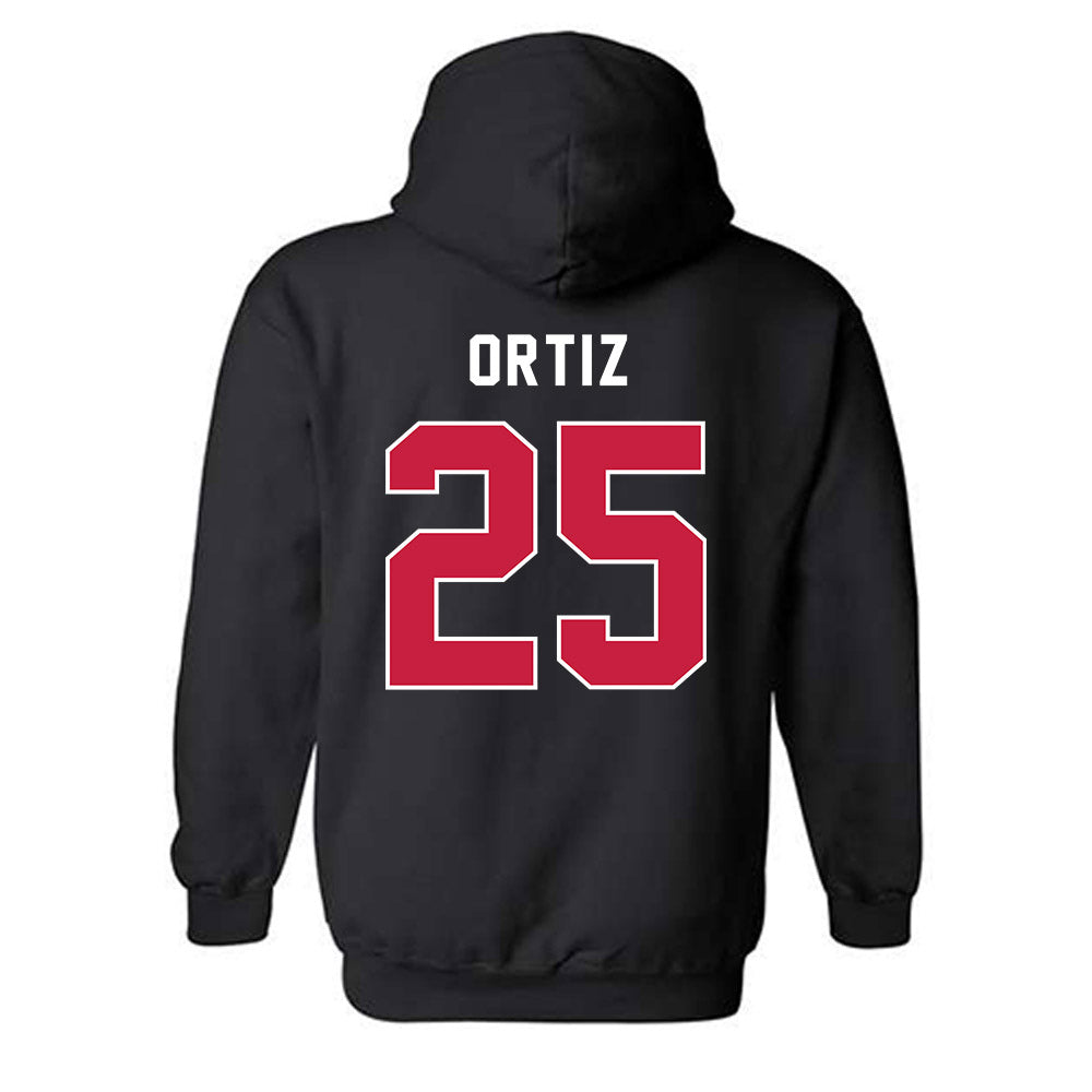 MSU Denver - NCAA Baseball : Erubiel Ortiz - Classic Shersey Hooded Sweatshirt-1