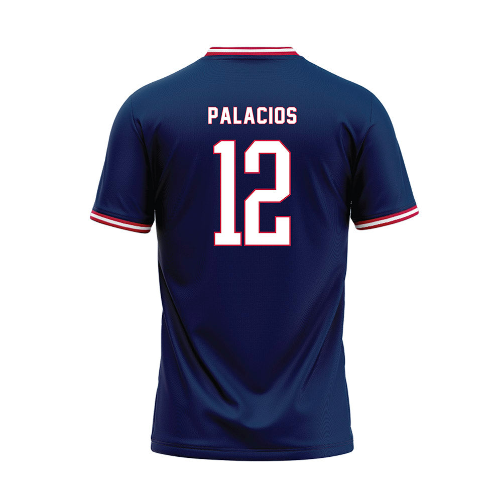 MSU Denver - NCAA Baseball : Marcos Palacios - Baseball Jersey-1