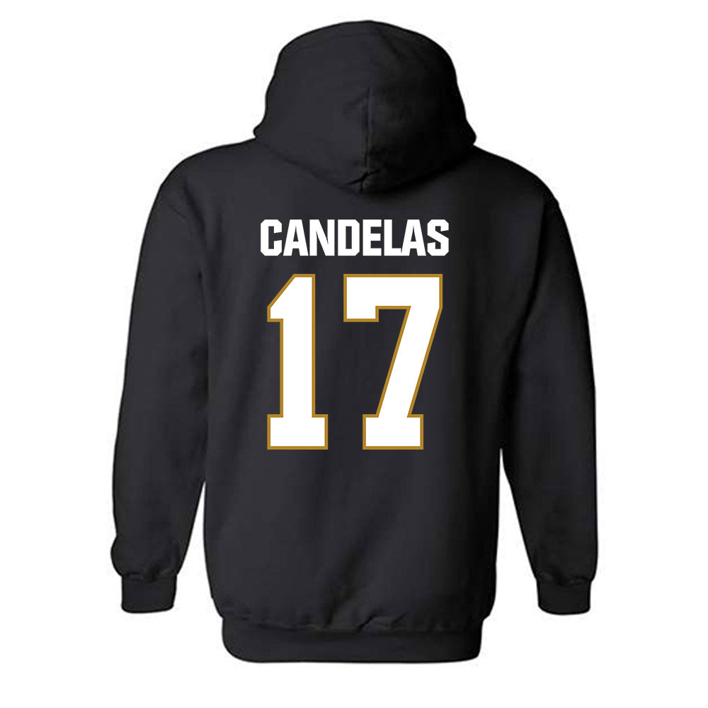FIU - NCAA Baseball : Hector Candelas - Hooded Sweatshirt-1
