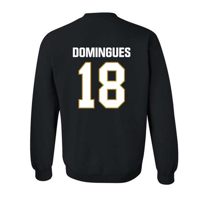 FIU - NCAA Men's Soccer : Joao Domingues - Crewneck Sweatshirt-1