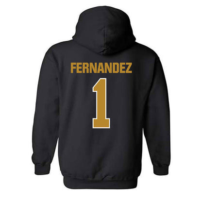 FIU - NCAA Men's Soccer : Beltran Fernandez - Classic Shersey Hooded Sweatshirt-1