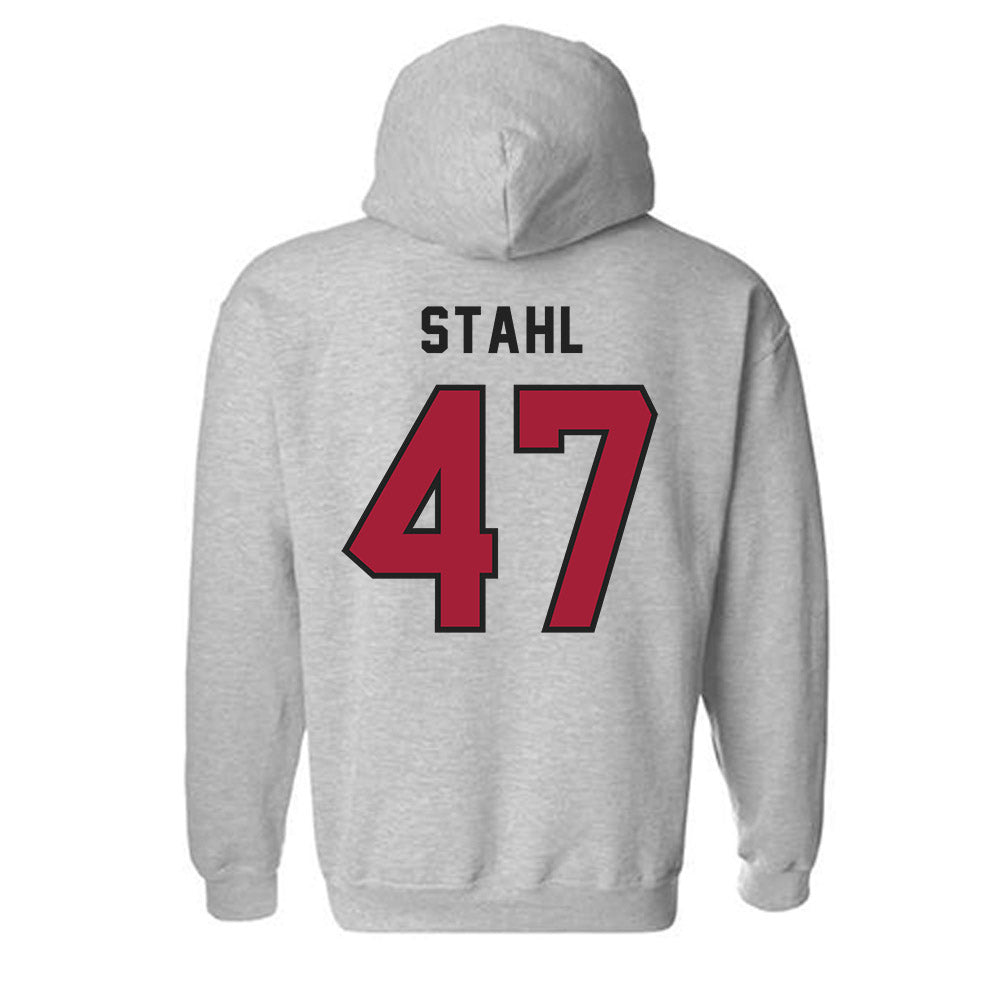 Lenoir Rhyne - NCAA Football : Caleb Stahl - Classic Shersey Hooded Sweatshirt-1