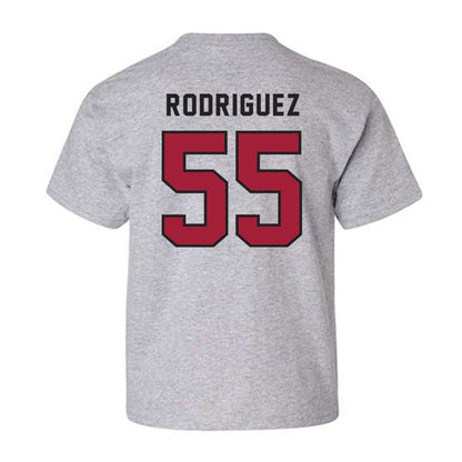 Lenoir Rhyne - NCAA Baseball : Brynden Rodriguez - Youth T-Shirt-1