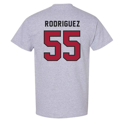 Lenoir Rhyne - NCAA Baseball : Brynden Rodriguez - T-Shirt-1