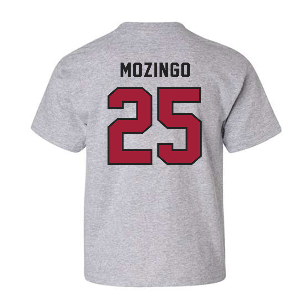 Lenoir Rhyne - NCAA Baseball : Joe Mozingo - Youth T-Shirt-1