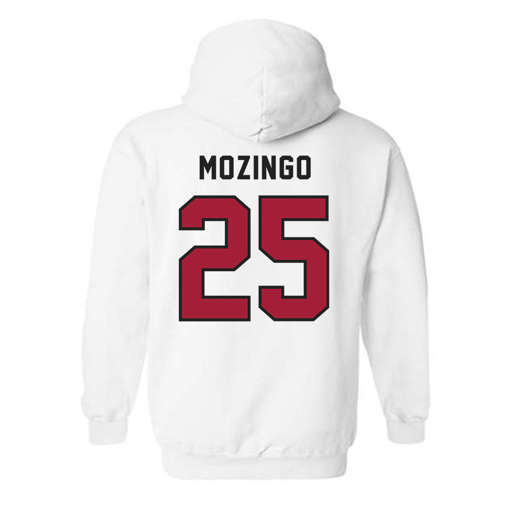 Lenoir Rhyne - NCAA Baseball : Joe Mozingo - Classic Shersey Hooded Sweatshirt-1