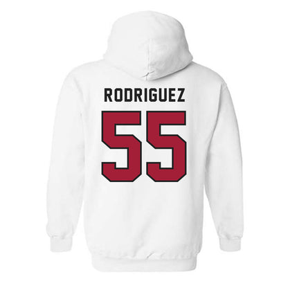 Lenoir Rhyne - NCAA Baseball : Brynden Rodriguez - Classic Shersey Hooded Sweatshirt-1