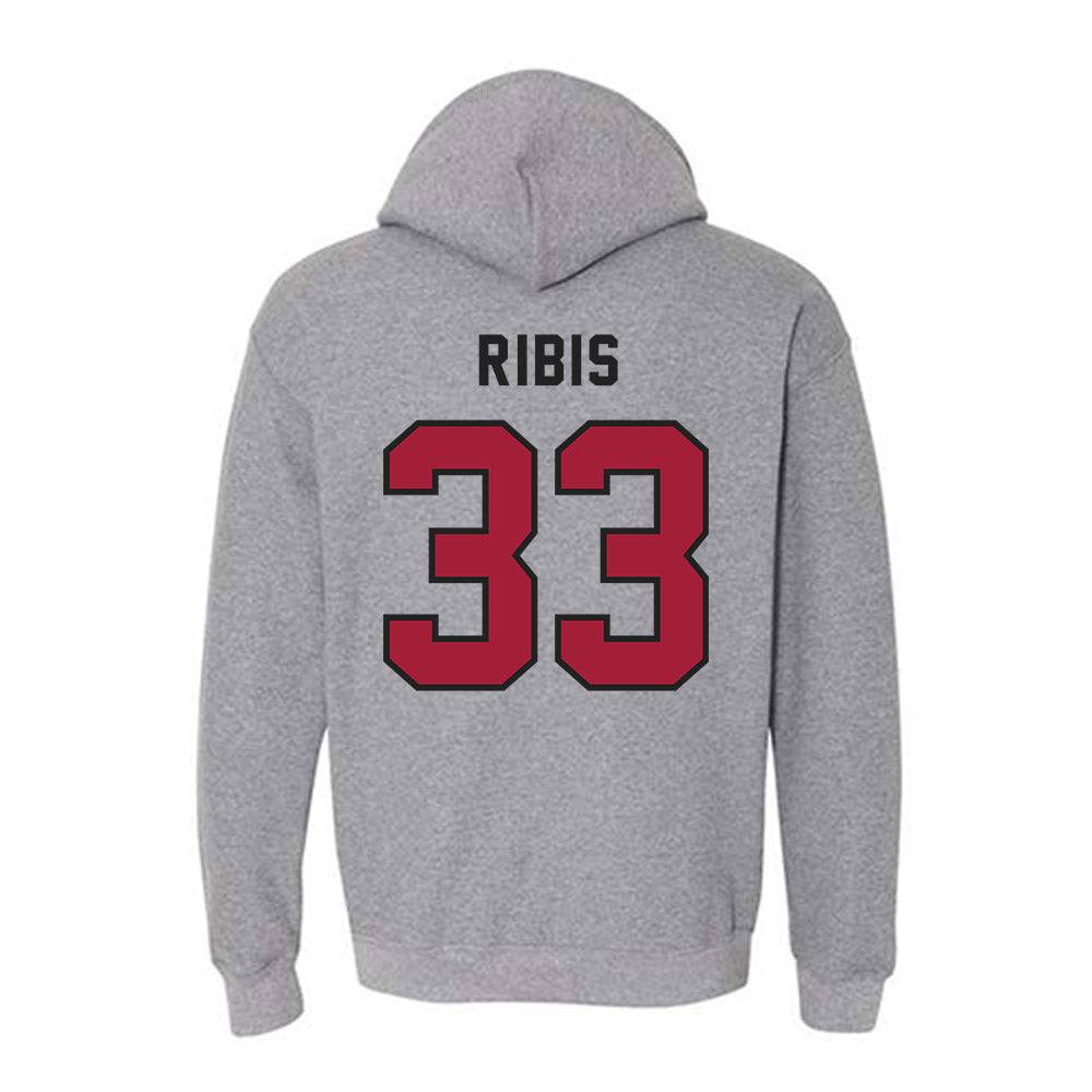 Lenoir Rhyne - NCAA Baseball : Michael Ribis - Classic Shersey Hooded Sweatshirt-1