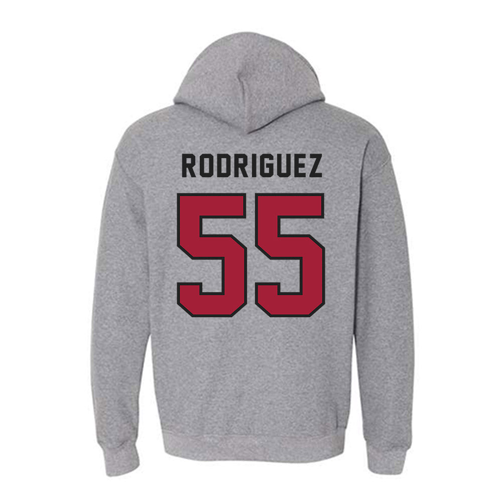 Lenoir Rhyne - NCAA Baseball : Brynden Rodriguez - Classic Shersey Hooded Sweatshirt-1