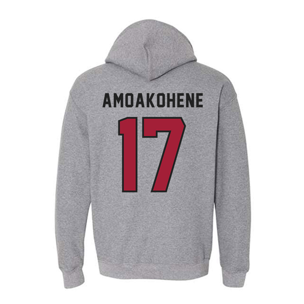 Lenoir Rhyne - NCAA Football : Justin Amoakohene - Classic Shersey Hooded Sweatshirt-1