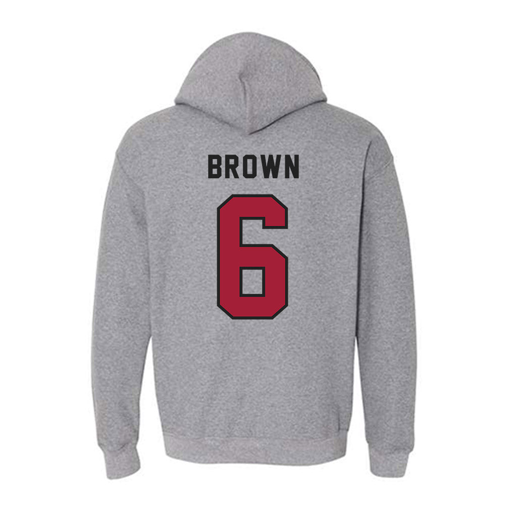 Lenoir Rhyne - NCAA Softball : Kaylan Brown - Classic Shersey Hooded Sweatshirt-1