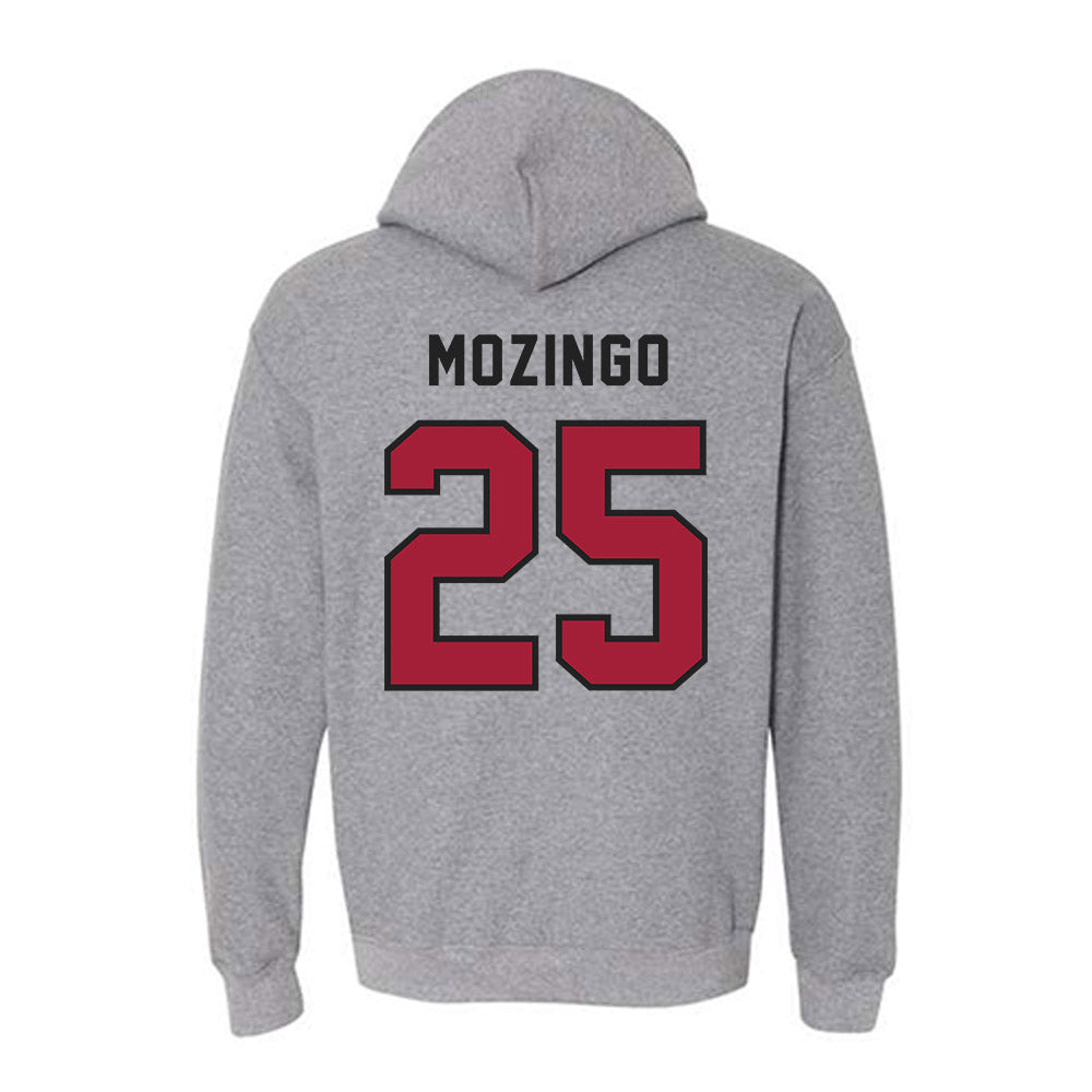 Lenoir Rhyne - NCAA Baseball : Joe Mozingo - Classic Shersey Hooded Sweatshirt-1