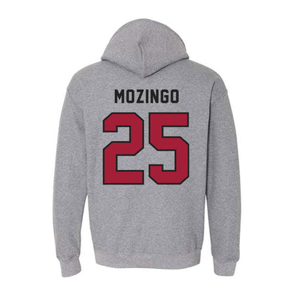 Lenoir Rhyne - NCAA Baseball : Joe Mozingo - Classic Shersey Hooded Sweatshirt-1