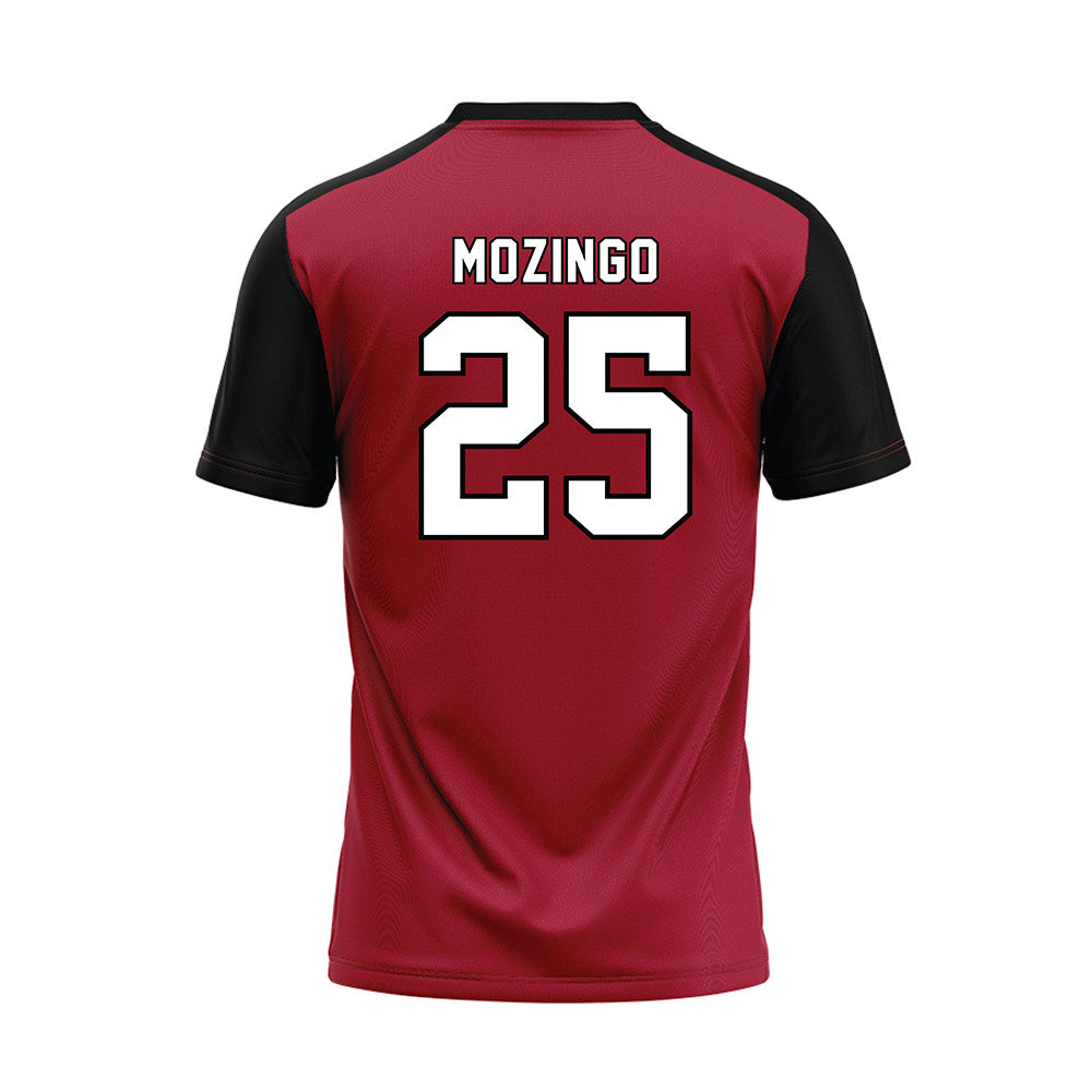 Lenoir Rhyne - NCAA Baseball : Joe Mozingo - Replica Baseball Jersey-1